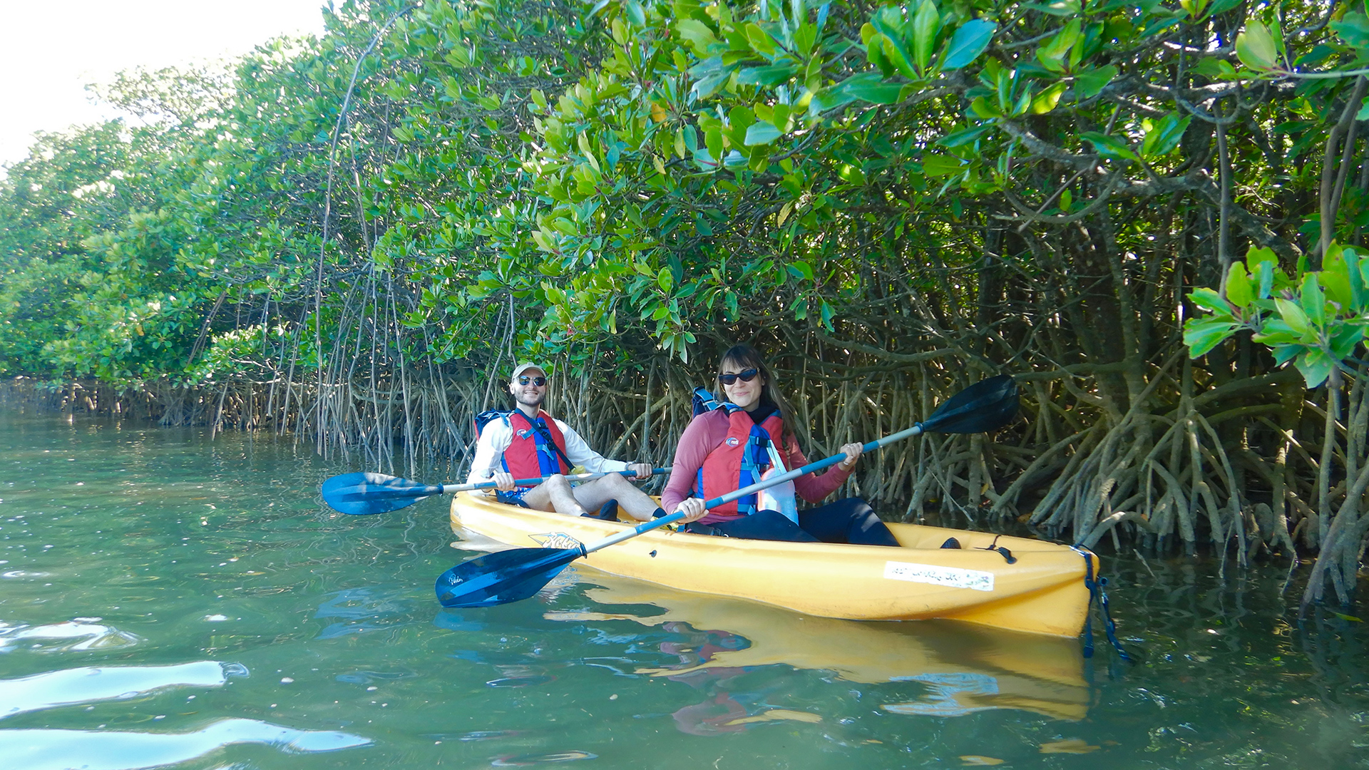 EAST River｜沖縄の最大級マングローブでカヌーツアー＆シーカヤック