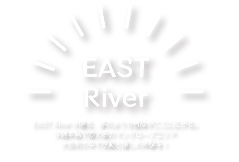 EAST Riverが贈る、夢のような冒険がここに広がる。沖縄本島で最大級のマングローブエリア 大自然の中で感動と癒しの体験を！